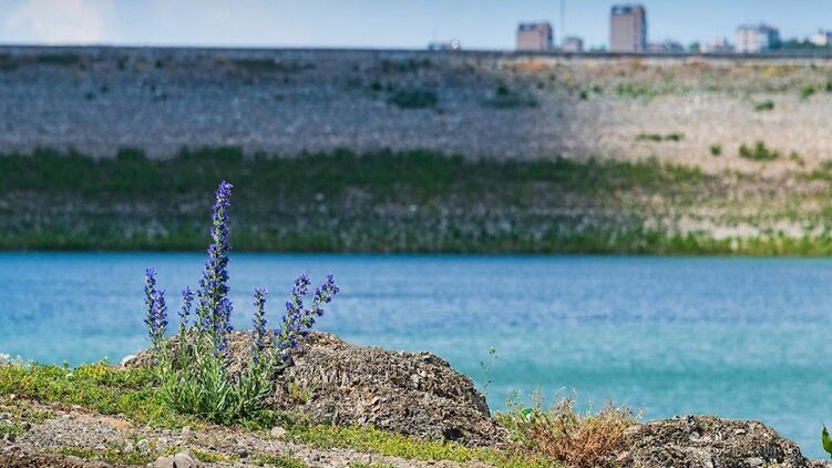 Водохранилище в Крыму. Фото: РИА Новости