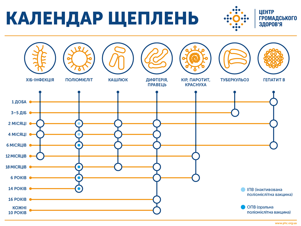 календарь прививок от МОЗ