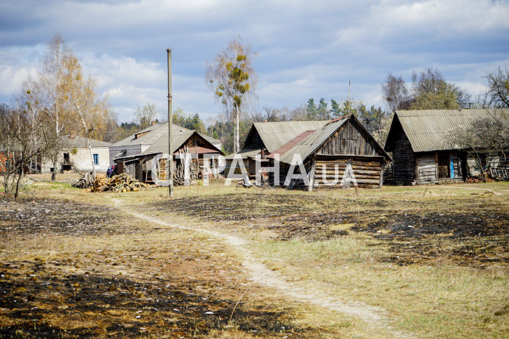 Последствия пожаров в Житомирской области