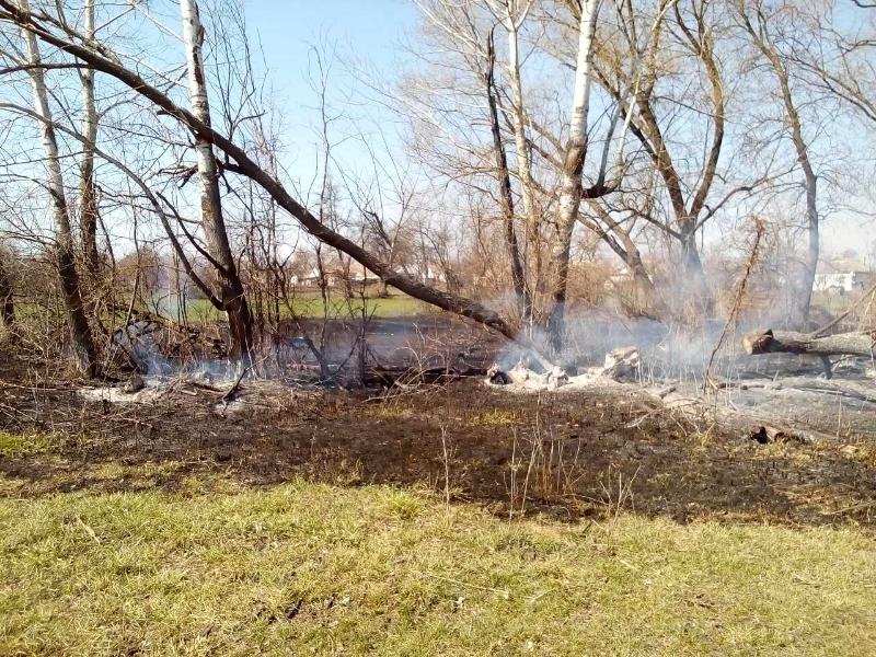 Пенсионерка устроила пожар, чтобы избавиться от лисиц. Фото: пресс-служба ГСЧС