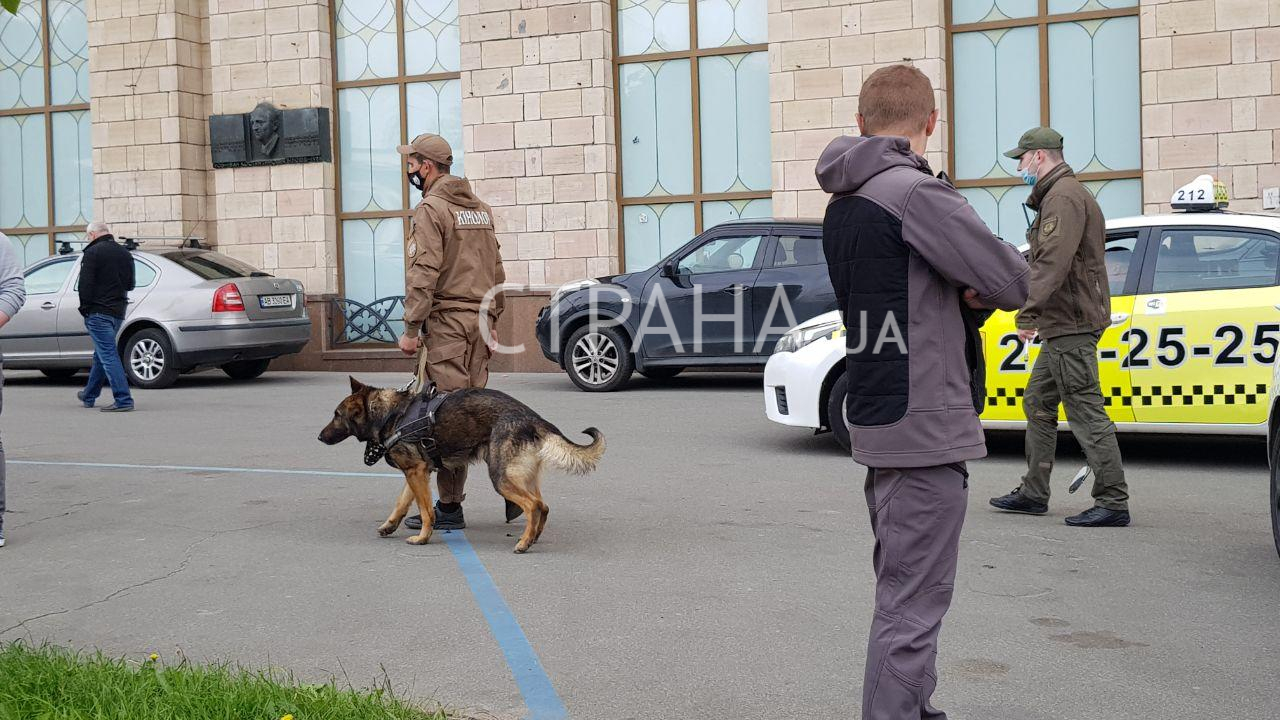 Территорию акции протеста проверяли кинологи. Фото: Страна