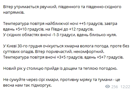 Какой будет погода в Украине на Новый год 31 декабря. Скриншот: t.me/PohodaNatalka