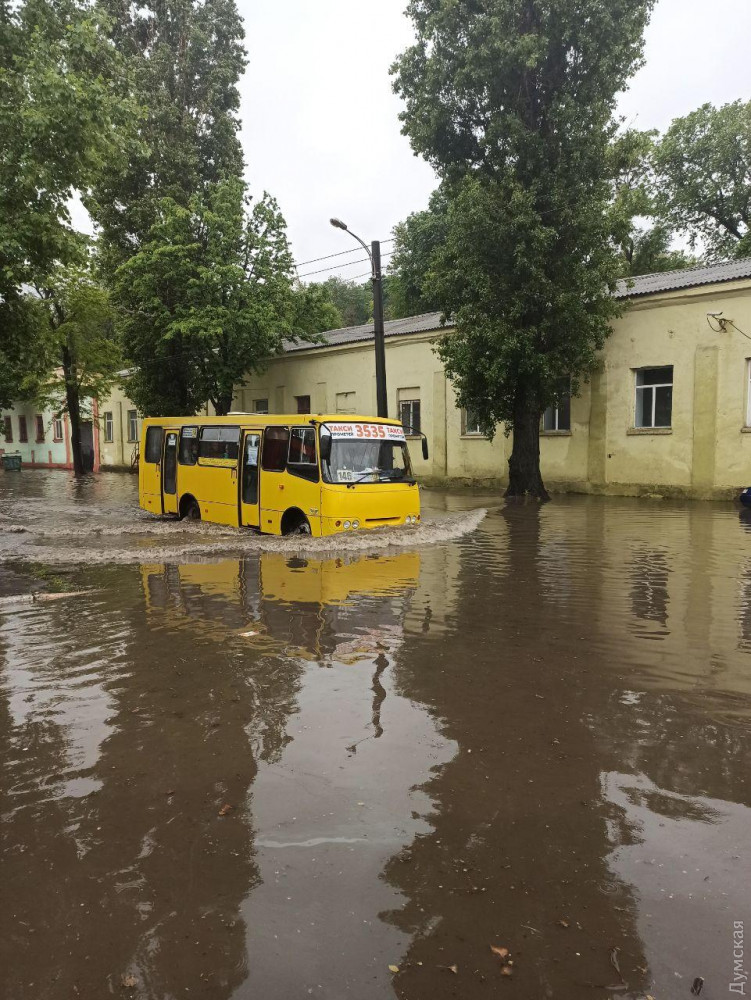 Фото: "Думская"