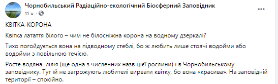 В Чернобыльском заповеднике зацвели кувшинки. Скриншот из фейсбука пресс-служба заповедника