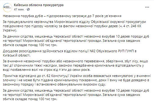 Мужчине грозит тюрьма за вырубку деревьев. Скриншот из телеграм-канала Киевской прокуратуры