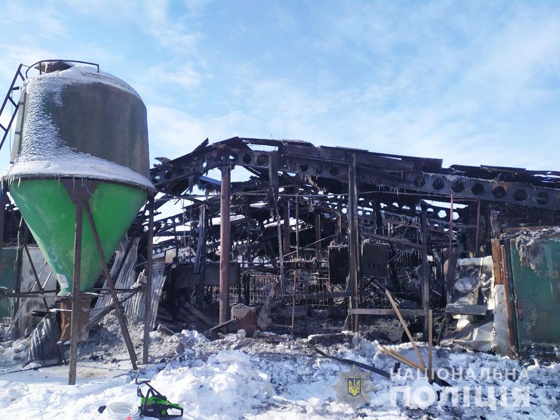 Более 200 свиней сгорели заживо в пожаре. Фото: Нацполиция