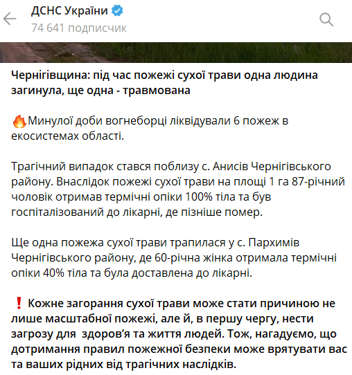 Под Черниговом произошло за сутки шесть пожаров сухой травы